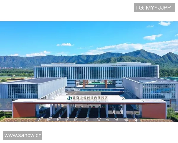 北京排球队比赛经验的创新与变革引发热议